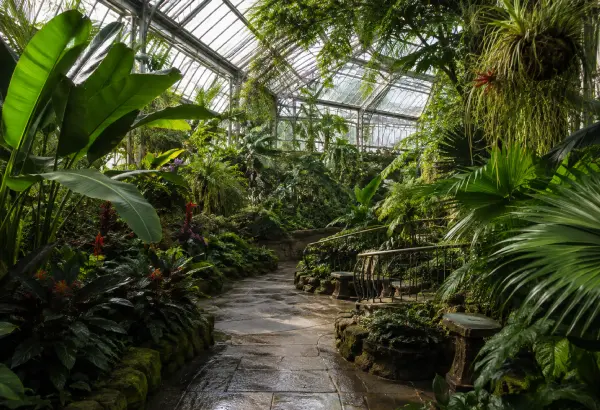 Tropisches Gewächshaus mit exotischen Pflanzen